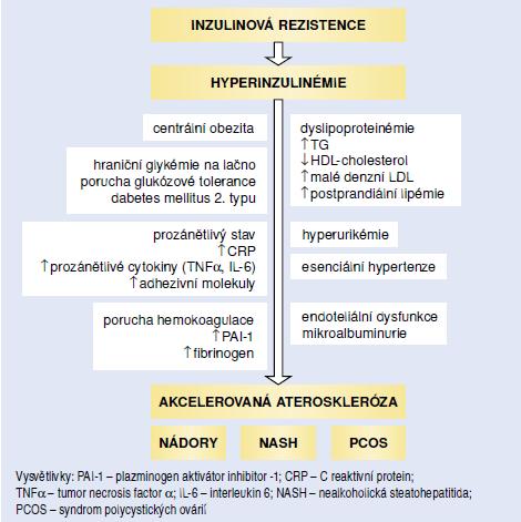 a biochemické projevy metabolického syndromu (MS) zvyšují riziko rozvoje aterosklerózy [48,64,72,97].