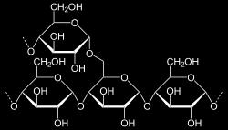 (glc + fru), laktosa (glc + gal), maltosa (glc + glc) CH 2 H Polysacharidy škrob