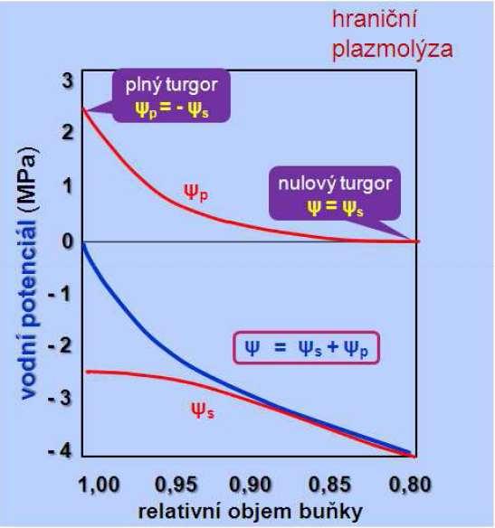 Vodní potenciál Höflerův diagram vztahu