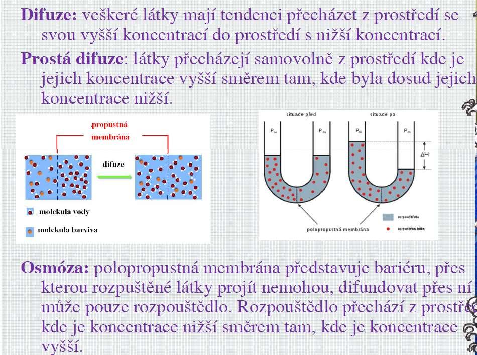 Fyzikální