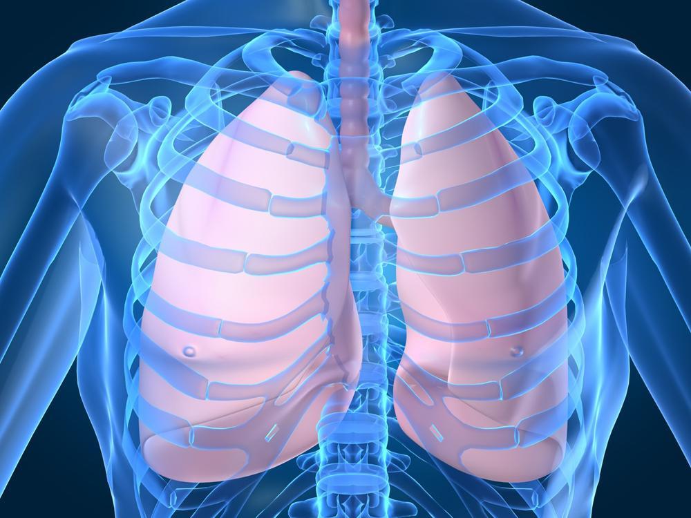 Plicní edém B linie oboustranně + lung sliding Téměř