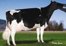 .1.2005 COMESTAR EXPORT COMESTAR LINETTE INCOME EX-90 06-04 130 14 754 3,7% 540 3,0% 450 kg Celoživotně: 72 890 3,6% 2 600 3,3% 2 383 kg PENNVIEW INCOME OCONNORS TVF RUDOLPH LILLY 07-01 305 22 466