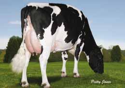 05-05 305 15 976 3,6% 583 3,4% 536 kg Celoživotně: 35 957 3,6% 1 299 3,5% 1 247 kg STARTMORE RUDOLPH WHITTIER-FARMS LEAD MAE-ET EX-95 08-07 305 16 942 4,7% 795 5,3% 562 kg Celoživotně: 57 589 4,3% 2