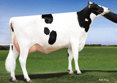 HOLŠTÝN ENOMIČTÍ ABS ZEBEDEE-ET SPECE x DELTA x SUPERSIRE x MASSEY De-Su 35 Spectre-ET 3395 Peak Delta Zoya 4-ET 3334396 P-83 +77 +934 9HO8 NEO 88 Č. PLEM.