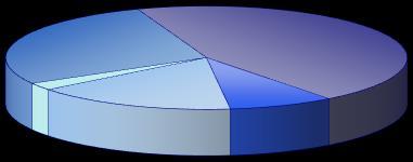 Struktura lůžek v nemocnicích podle zřizovatele Structure of hospital beds by founder MZ ČR MH CR 27,8 % kraj region 45,1 % ostatní centrální orgány other central církev, jiná práv.