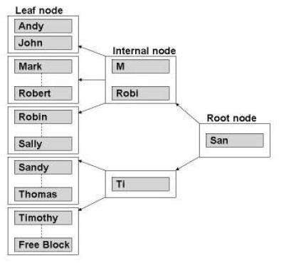 B + tree Data Dividers (no data)