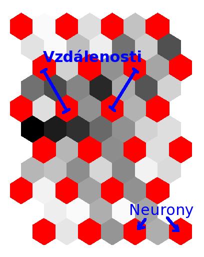 U-Matice Matice vzdáleností mezi váhovými vektory jednotlivých neuronů, typicky se vizualizuje, vzdálenosti vyjádřeny barvou světlá