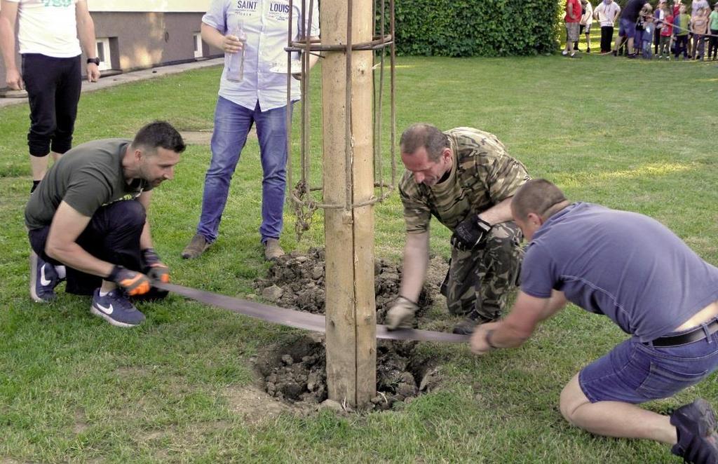 zrození nového života v přírodě.