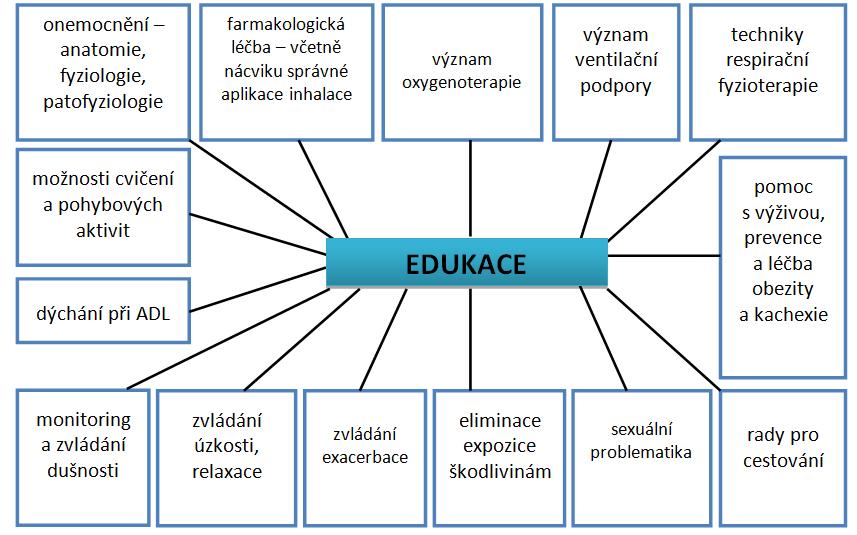 3 EDUKACE Edukaci provádí všichni specialisté multidisciplinárního týmu, kteří se podílí na léčbě nemocného.