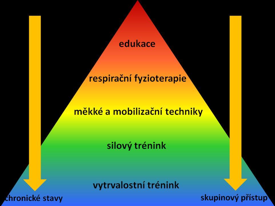 Vysvětlivky: A pohybová léčba B edukace a nácvik ADL C respirační fyzioterapie C* - respirační fyzioterapie včetně polohování, vertikalizace a mobilizace nemocného Dle doporučení jednotlivých