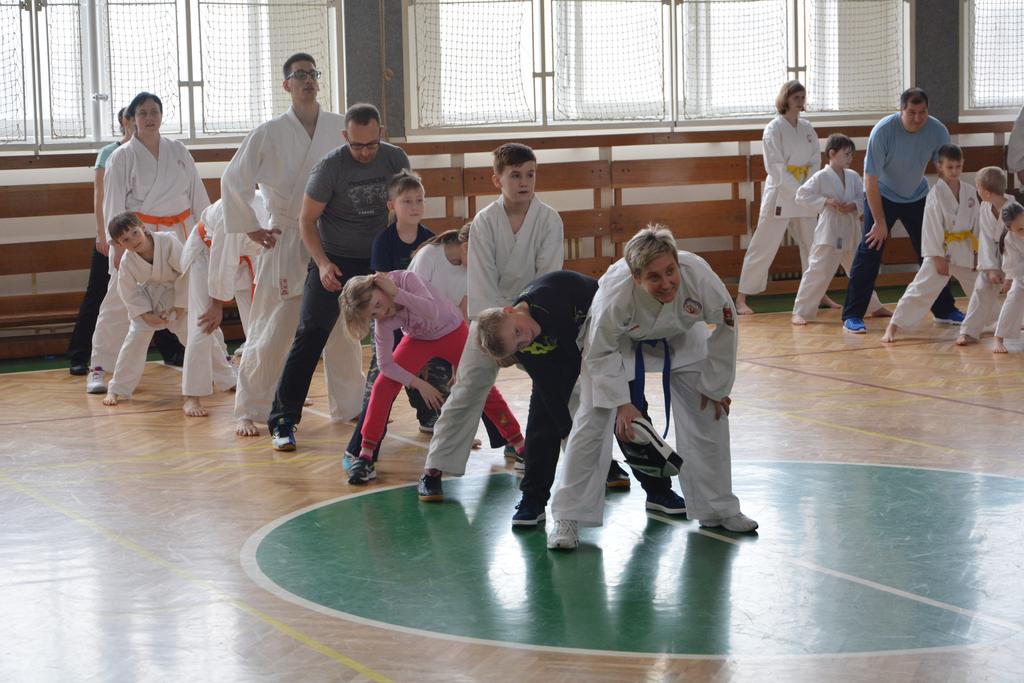 Kromě základního tréninkového programu pro sportovce od 12 let je ve vysokomýtském oddílu Moderního sportovního karate i program dětské přípravky.