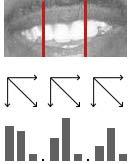 Způsobem pro extrakci příznaků z textury úst, který reprezentuje i tvar úst je histogram orientovaných gradientů [28].