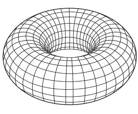 23 Budoucnost energetiky: jaderná fúze Obr. 10. Znázornění nehomogenity toroidální geometrie.