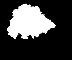 Kuřecí