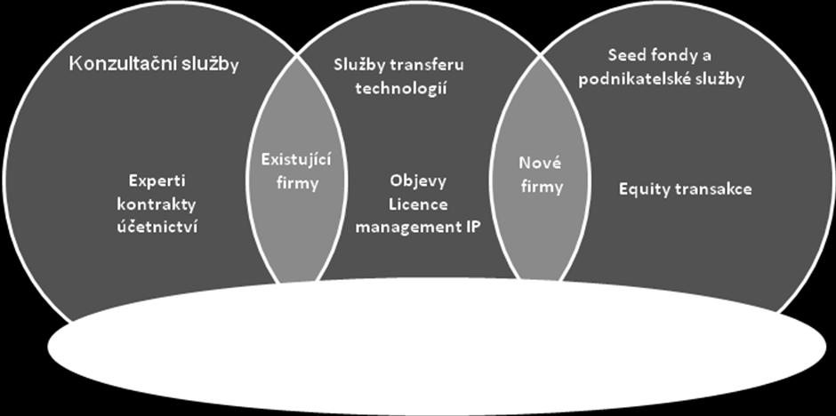 Vrchní výkonný pracovník (Chief Executive) společnosti Cambridge Enterprise se také zodpovídá výboru pro výzkumnou politiku (Research Policy Committee) univerzity.