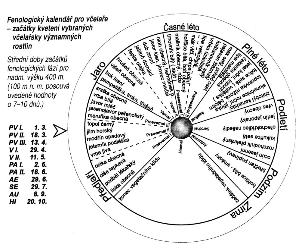 Trnovník akát Robinia pseudoacacia 2,30 44 + V VI Vrba jíva Salix Capri 0,28 31 +++ III Nektarodárnost (N): Průměrné množství nektaru vyloučené květem rostliny za 24 hodin.