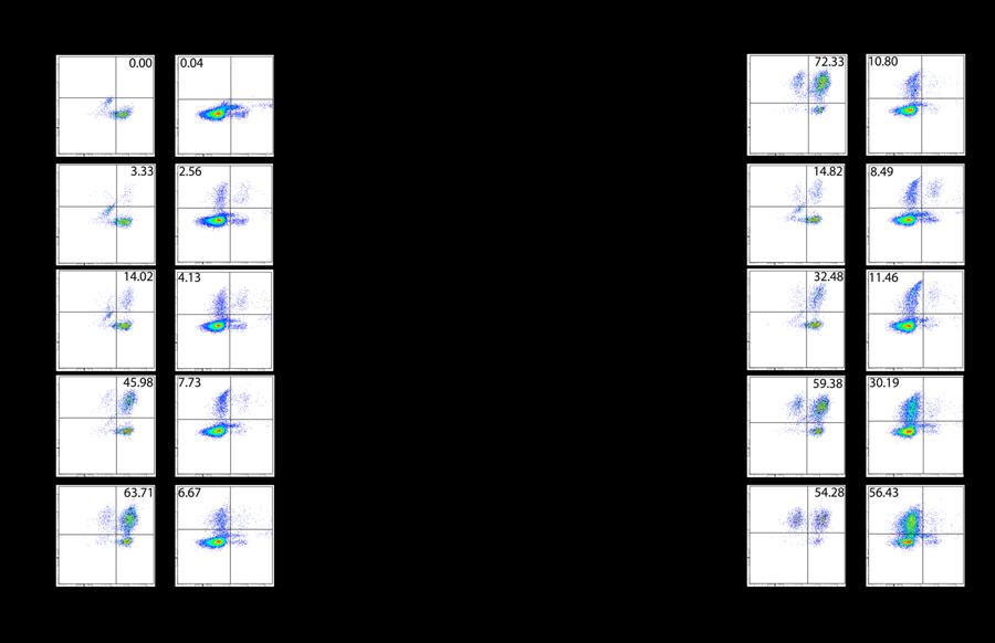 Figure 5.1: Titration of optimal dosage of IL-2/anti-IL-2 mab immunocomplexes. B6 mice were i.p. injected with 0.5 mg BrdU and subsequently with titrated doses of IL-2/JES6.