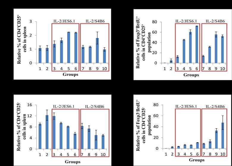 A) Flow cytometry analysis. B) Relative percent of CD4 + CD25 + T cells in spleen. C) Relative content of Foxp3 + BrdU + T cells in the population shown in B.