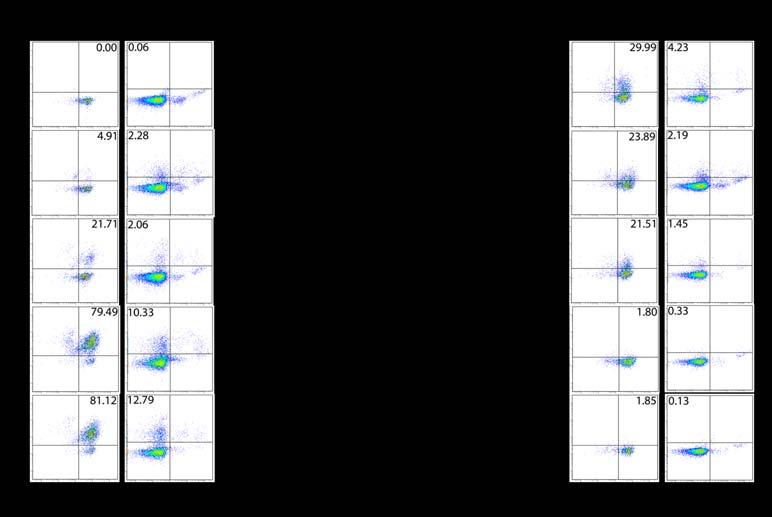 provide sufficiently strong results to be further used for T reg cell depletion during cancer treatment experiments. Figure 5.