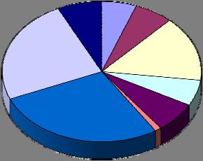 1. čtvrtletí 2006 RSCP - podnikatelská sféra PS-V1 Revidované výsledky ke dni 10. 3.