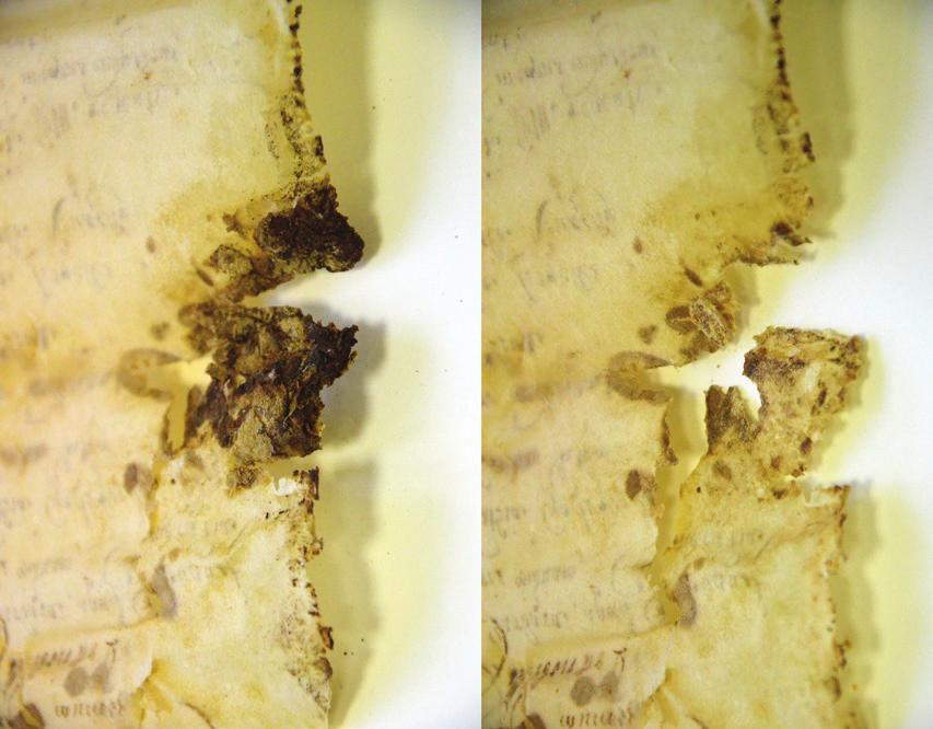 11 Vyrovnaný pergamenový svitek před a po restaurování Levelled parchment scroll before and after restoration Obr. 12 Vlevo vizualizace písma získaná z virtuálního modelu zkoumaného pergamenu.