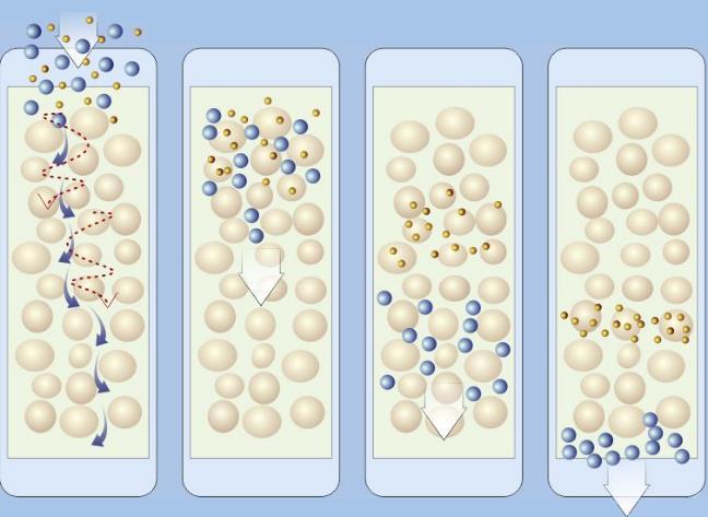 nejprve vycházejí největší makromolekuly, které se nezachytávají v pórech, dále se postupně vymývají frakce menších makromolekul.