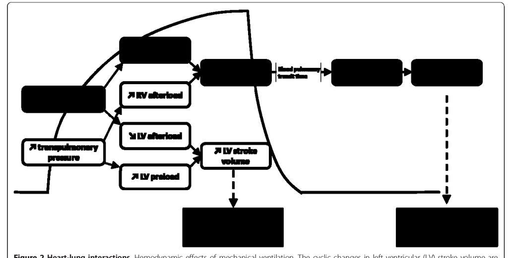 DYNAMICKÉ PARAMETRY (dynamické testy) INTERAKCE