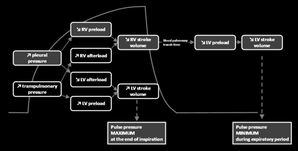 parameters to guide fluid therapy DYNAMICKÉ