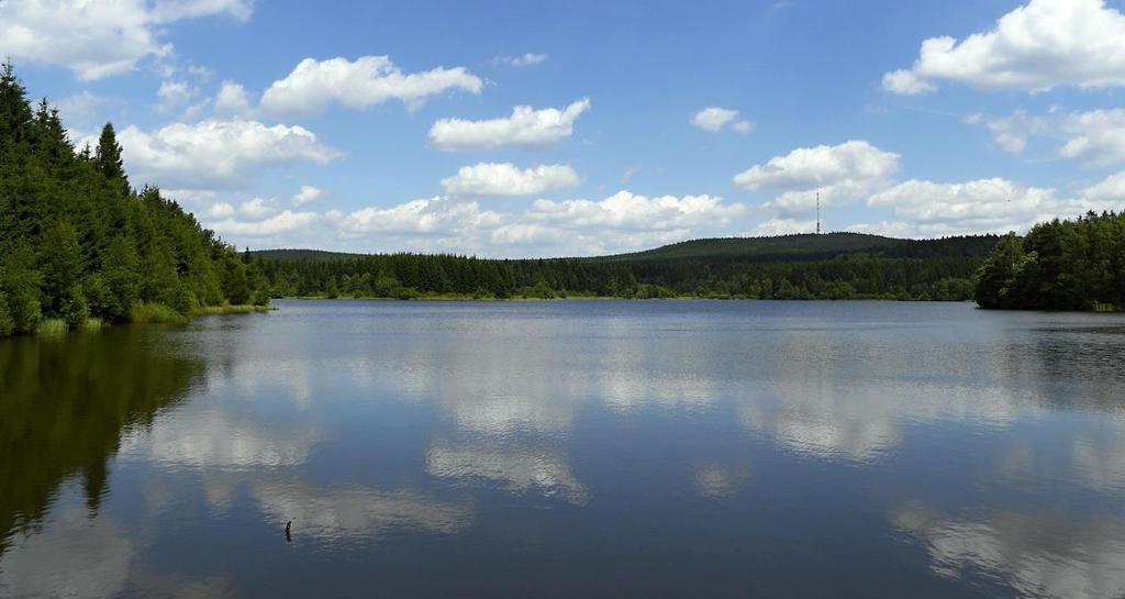 specifických látek soudržný sliz o mocnosti 0,5 1,0 m, který je z hlediska jakosti vody pro vodárenské účely velkou komplikací.