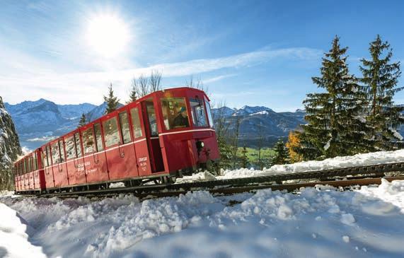 náladu při adventní jízdě vláčkem na Schafberg či plavbě po