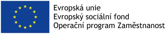 Výstup pilotní aplikace a návazné úpravy týmu kvality sekce pro státní službu Ministerstva vnitra Kritérium zlepšování 10 Systém partnerství v rámci státní služby Opatření: Aktivně se účastnit