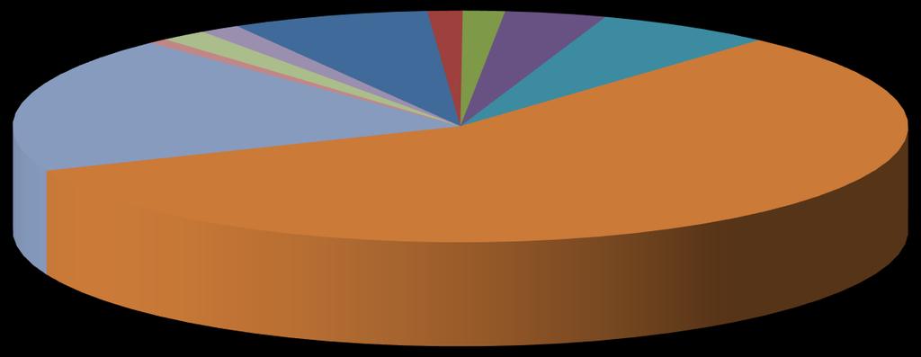 Přehled o nákladech v roce 2018 Zákonné pojištění 19% Ostatní náklady 2% Zákonné sociální náklady 1% Odpisy majetku 1% Všeobecný materiál 7% Energie 1% Opravy a udržování 2% Cestovné 4%