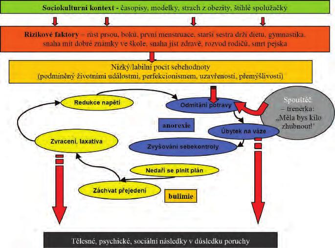 Poruchy příjmu potravy mají vztah k řadě psychologických jevů, které provázejí dospíváí, apř.