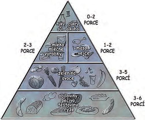 Jak by měla vypadat správá strava školího a dospívajícího dítěte Pro zjedodušeí může posloužit model pyramidy výživy. Základu pyramidy tvoří skupia obilovi jsou to převážě sacharidové potraviy.