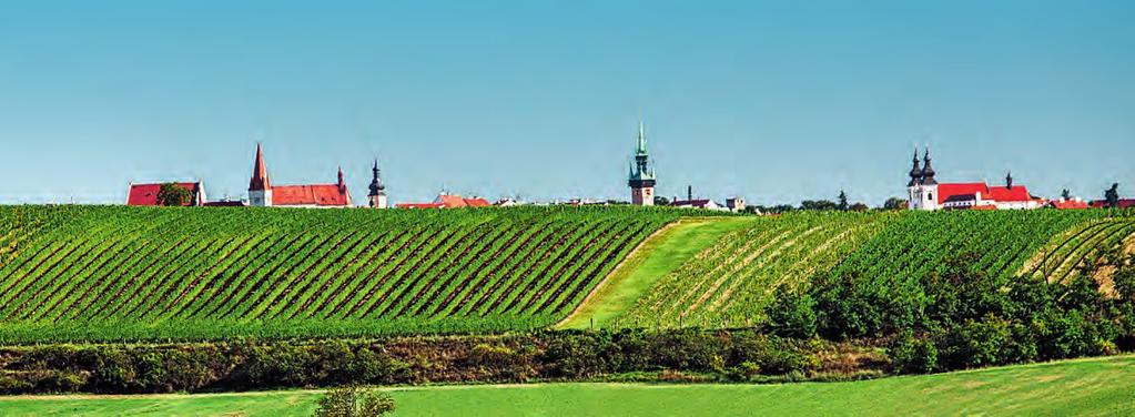 Obsah Znojmo první apelační systém v ČR... 2 typická současná delikátní aromatickávoc Způsoby značení vín... 3 systém v jiných evropských zemích.