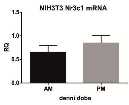 A B C Obrázek 16.: Vliv aktivace a inhibice GR na cirkadiánní rytmy linie NIH3T3. A) Reprezentativní profily luminiscence buněk NIH3T3 v čase.