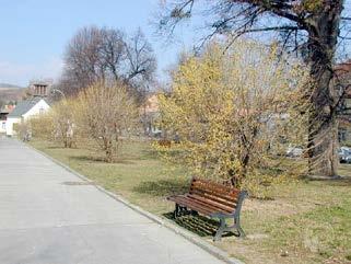 Solnohradka. Jabloň - Jadernička, - Morušovnk - Morus nigra, alba Muchovnk - melanchier alnifolia, n.