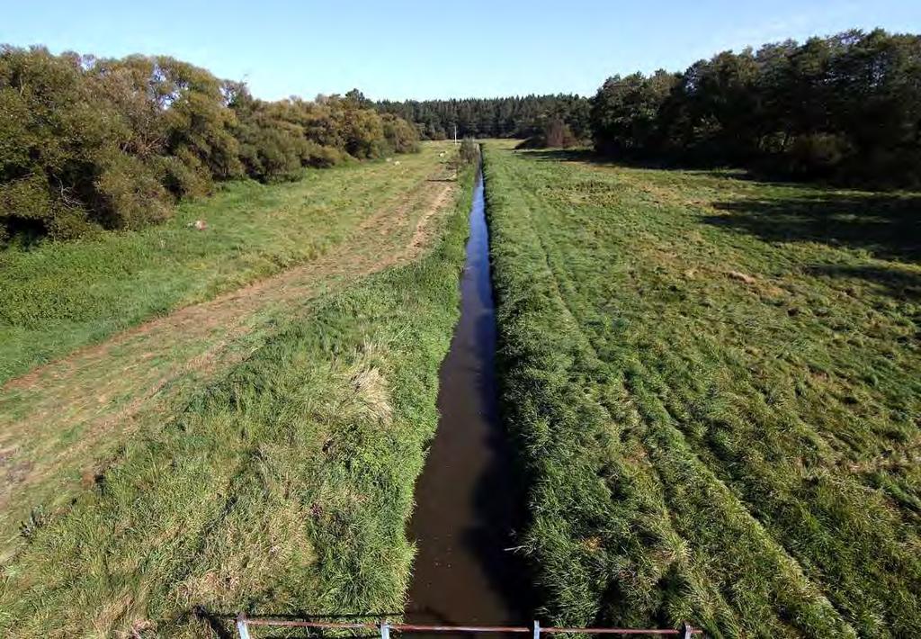 Stropnice u Nových