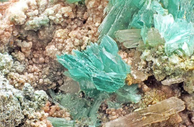 2014a), častěji však byly tyto minerály zjištěny ve formě špatně krystalických žlutých až žlutozelených povlaků na puklinách žiloviny s masivní primární Cu a U mineralizací.