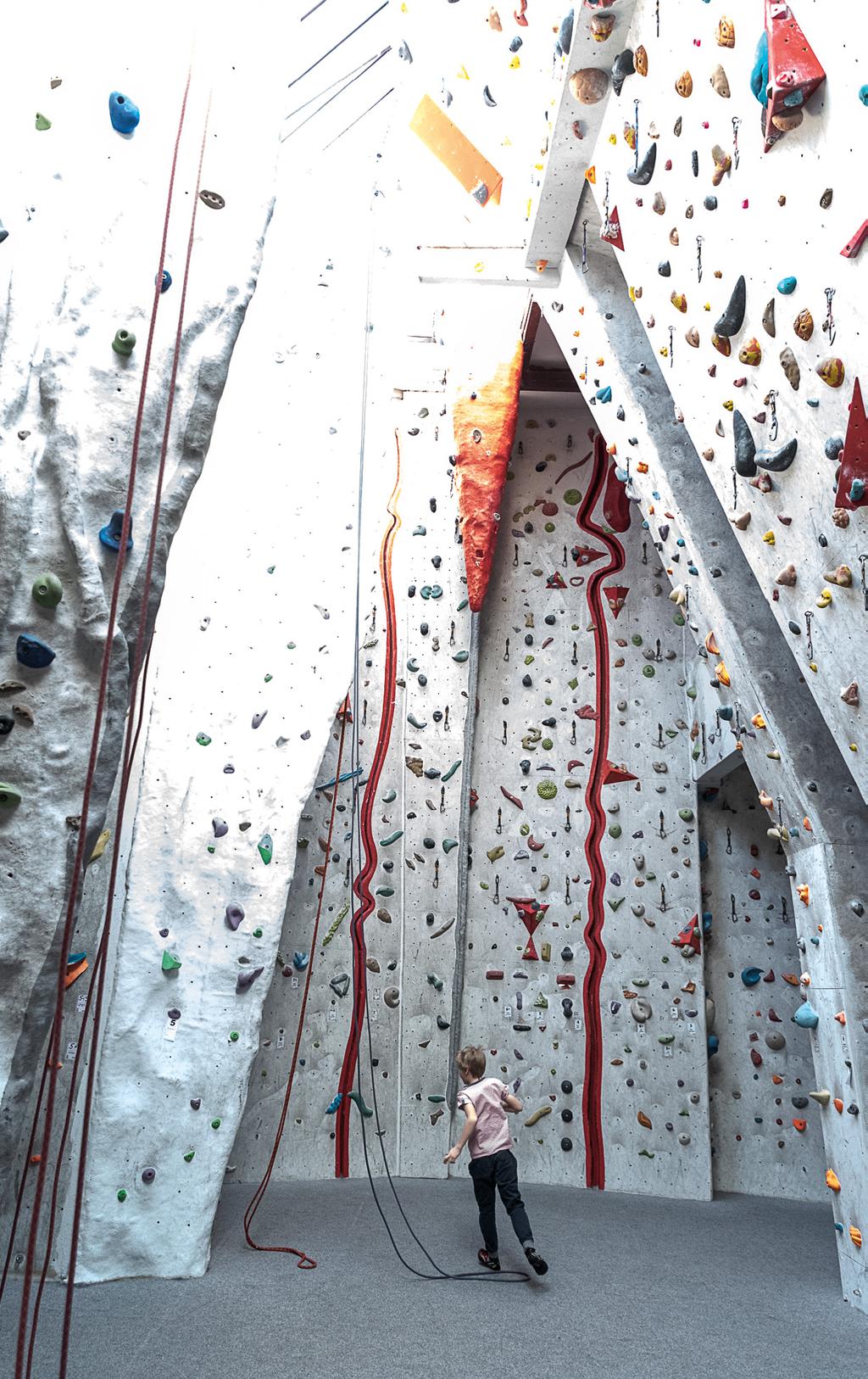 Místní podnikatelé Volný čas Vylezte si na mamuta Na holešovické stěně si na své přijde začátečník i zdatný lezec.