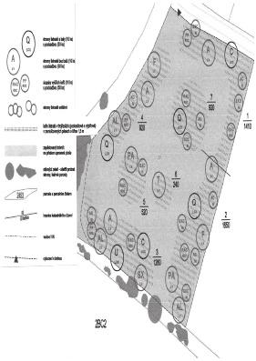 2. Zahradnická technika výsadby Příkladem této výsadby jsou biocentra založená na orné půdě 2BC-2 v k.ú. Netřebice, ŽP-1 v k.ú. Sovenice a biocentrum s vodní plochou v k.ú. Choťovice.