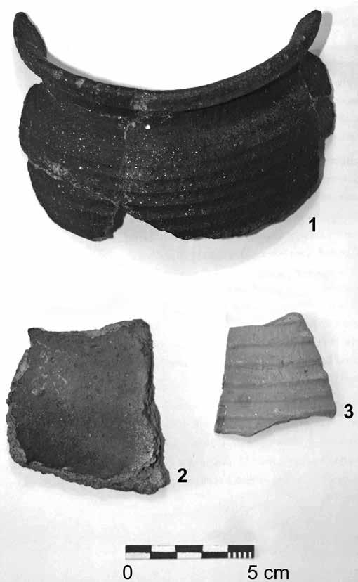 39 ZKOUMÁNÍ VÝROBNÍCH OBJEKTŮ A TECHNOLOGIÍ ARCHEOLOGICKÝMI METODAMI Lokalita: Ochoz III Trať: Na Dolinách/severní strana údolí Naleziště: Ochoz-Na Dolinách V-VI Lokalizace: Pozůstatky dvou větších