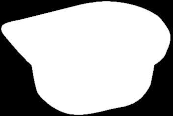 Madeland, Primator,