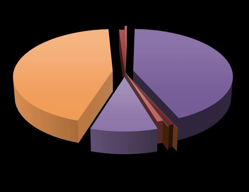 Výnosy 1% 0% Prodej vlastních výrobků 44% 43% Prodej služeb Výnosy z pronájmů Čerpání fondů Ostatní výnosy z činnosti Úroky 10% Jiné výnosy Dotace