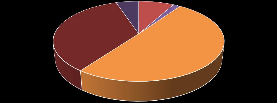 Členění organizace V roce 2017 byla celková kapacita služeb 169 osob, z toho 59 v DOZP, 80 v CHB, 30 v STD.