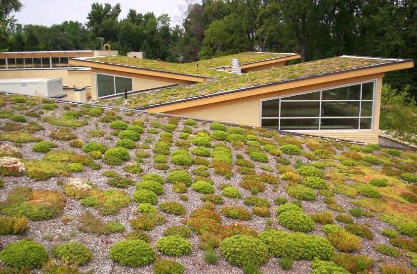 Podporované aktivity Zelené střechy Dotace 85 %
