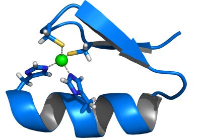 1.1.2. Vazebné motivy proteinů pro vazbu DNA Struktura zinkového prstu Zinkový prst je krátký proteinový strukturní motiv, který koordinuje vazbu jednoho či více iontů zinku.