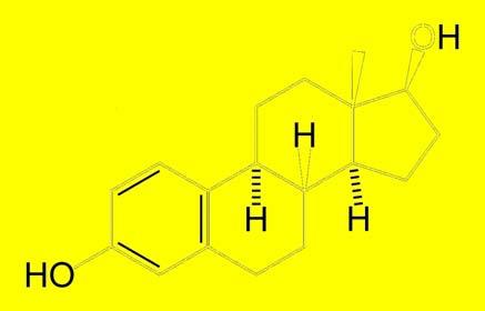 STANOVENÍ STEROIDŮ Kortisol (M R = 362,5) Testosteron (M