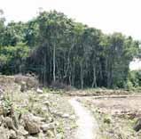 鎖羅盆 嶂上 土瓜坪 閱讀郊野公園 不包括土地 調查報告 白腊 郊野公園設立之時, 很多包括鄉村或農地的區域被撇除在外, 這 77 幅 不包括土地 一直面臨破壞的威脅 香港對土地的需求日益增加,