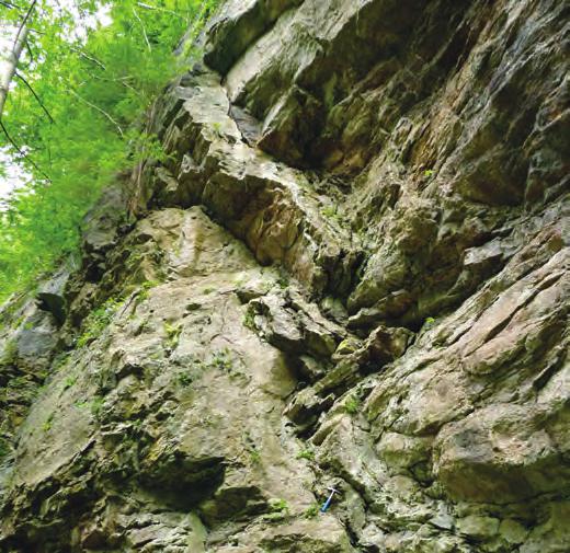 Ve spodním u však oblast, kde jsem se usazovala, postihlo mohutné vrásnění. To zdeformovalo mocné polohy usazených a sopečných hornin včetně starších žulových masivů.